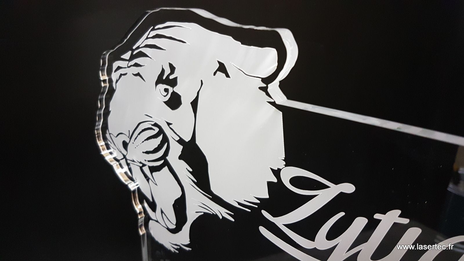 Gravure laser en vitrophanie sur un plexi coulé
