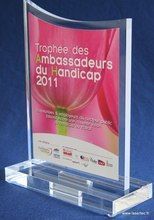 Trophée des ambassadeurs du handicap 2011