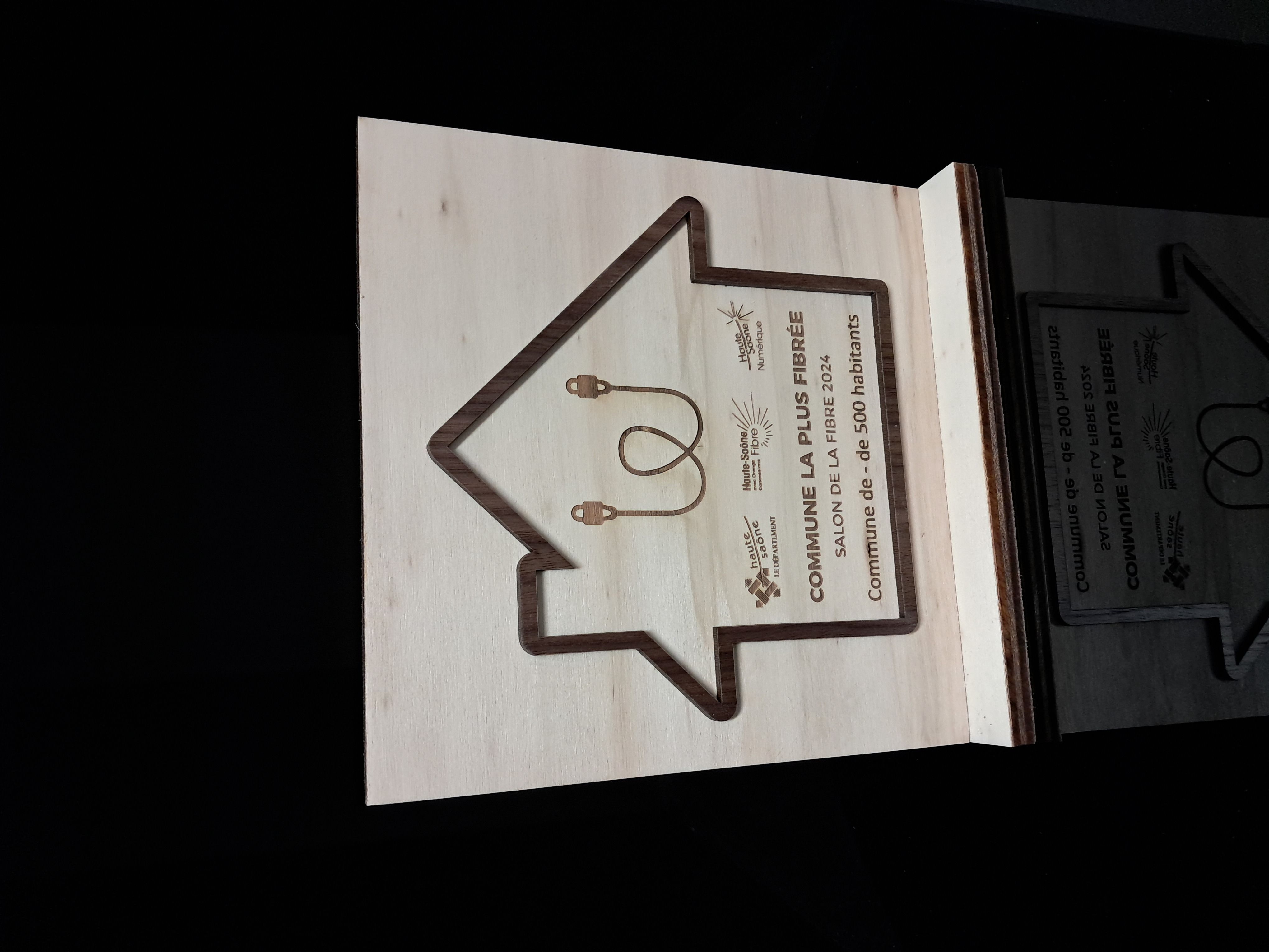 Trophée CP peuplier et noyer